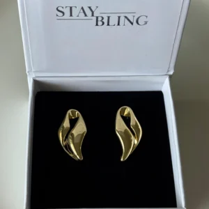 עגילי ונוס _2